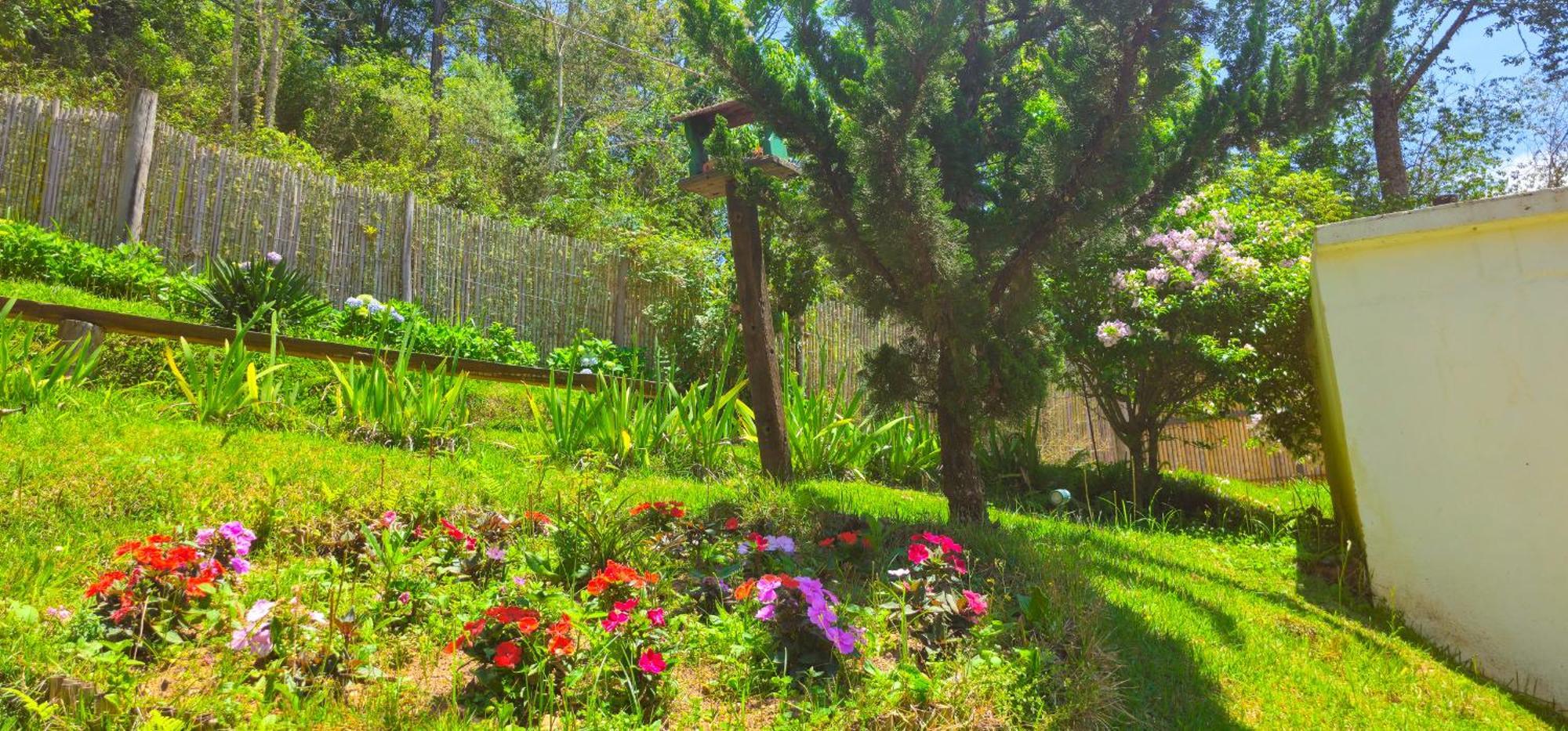 Cores E Flores Da Serra Pousada By Concavus Santo Antônio do Pinhal Eksteriør bilde